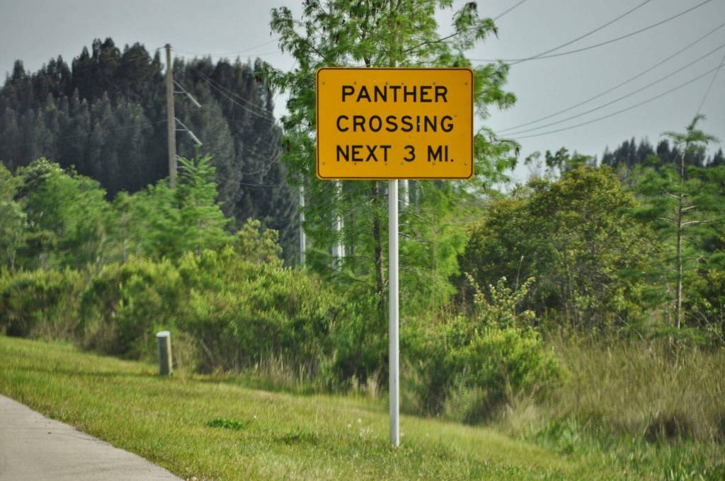 \"Panther